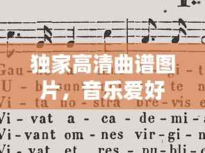 独家高清曲谱图片,音乐爱好者的收藏之选