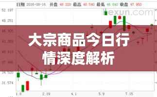 大宗商品今日行情深度解析