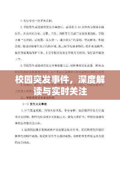 校园突发事件,深度解读与实时关注