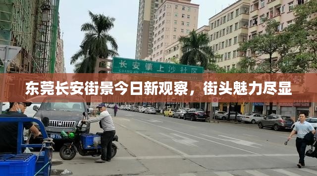东莞长安街景今日新观察,街头魅力尽显