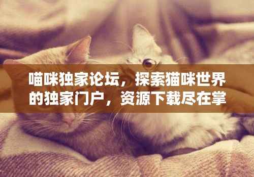 喵咪独家论坛,探索猫咪世界的独家门户,资源下载尽在掌握