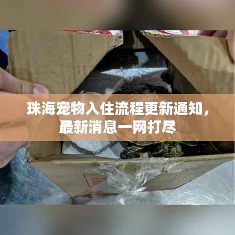 珠海宠物入住流程更新通知,最新消息一网打尽