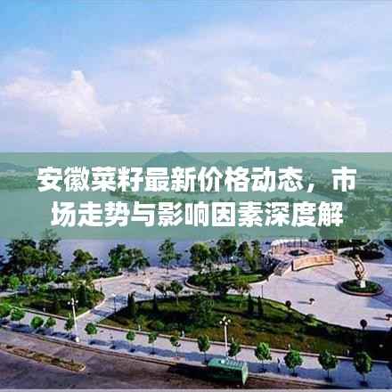 安徽菜籽最新价格动态,市场走势与影响因素深度解析