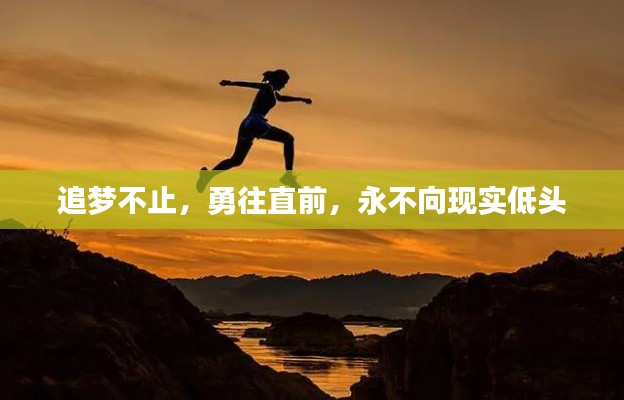 追梦不止,勇往直前,永不向现实低头