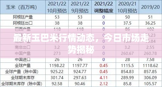 最新玉巴米行情动态，今日市场走势揭秘
