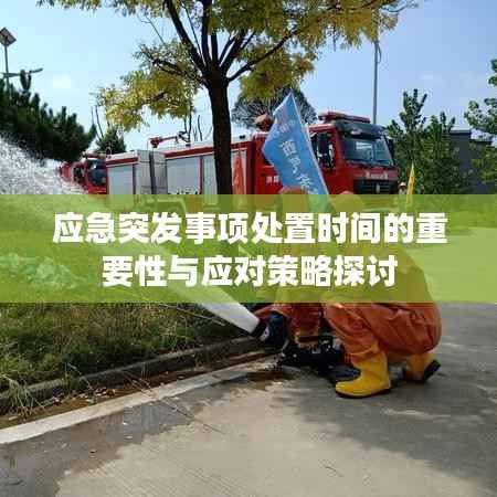 应急突发事项处置时间的重要性与应对策略探讨