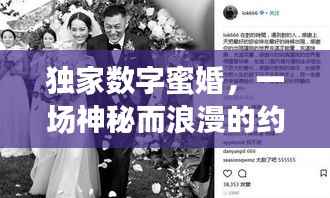 草率从事