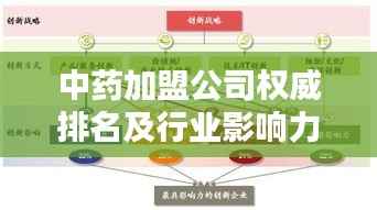 中药加盟公司权威排名及行业影响力解析