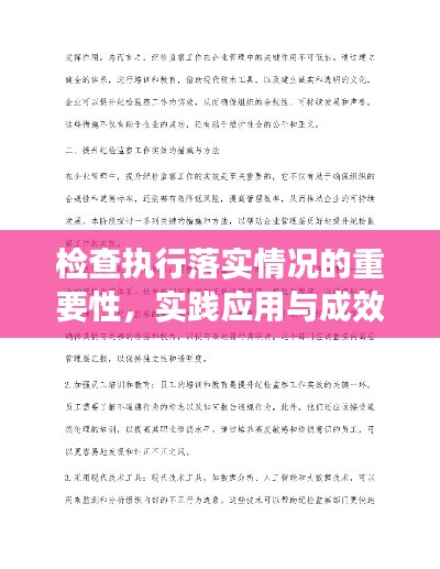 检查执行落实情况的重要性,实践应用与成效解析