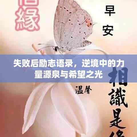 失败后励志语录,逆境中的力量源泉与希望之光