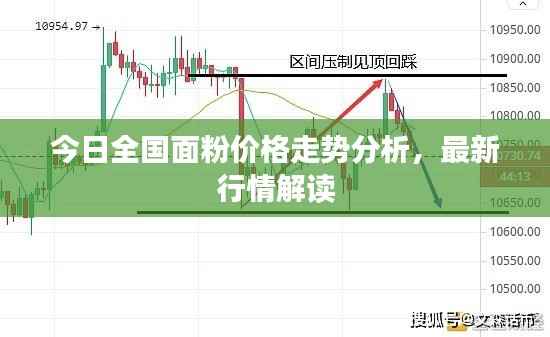 今日全国面粉价格走势分析，最新行情解读